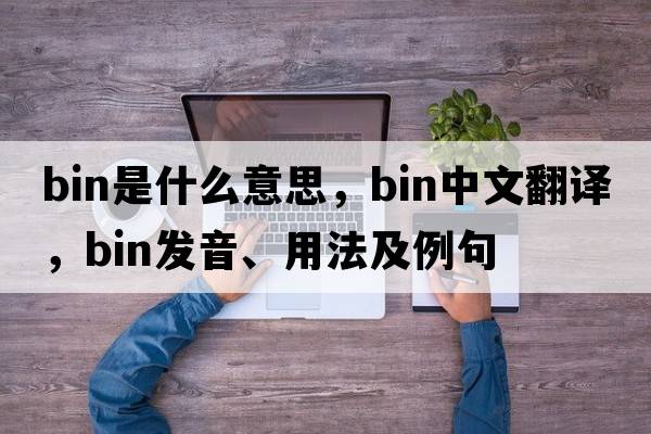 bin是什么意思，bin中文翻譯，bin發(fā)音、用法及例句