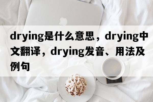 drying是什么意思，drying中文翻譯，drying發(fā)音、用法及例句