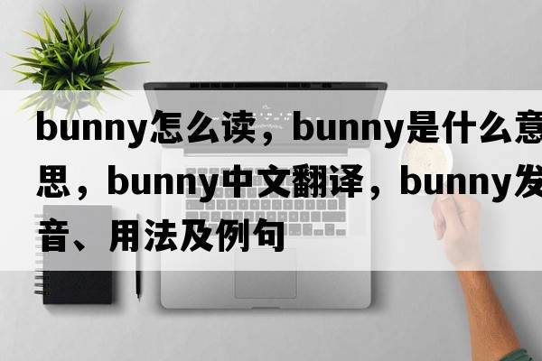bunny怎么讀，bunny是什么意思，bunny中文翻譯，bunny發(fā)音、用法及例句