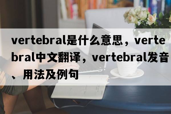 vertebral是什么意思，vertebral中文翻譯，vertebral發(fā)音、用法及例句