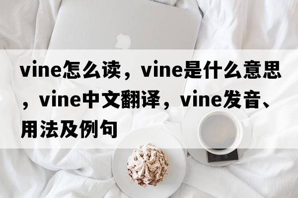 vine怎么讀，vine是什么意思，vine中文翻譯，vine發(fā)音、用法及例句