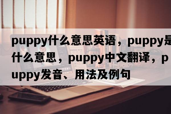 puppy什么意思英語，puppy是什么意思，puppy中文翻譯，puppy發(fā)音、用法及例句