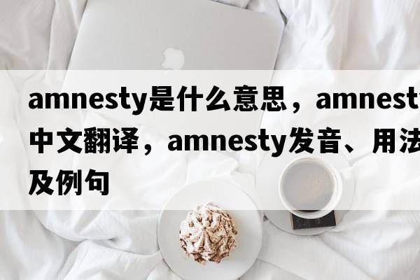 amnesty是什么意思，amnesty中文翻譯，amnesty發(fā)音、用法及例句