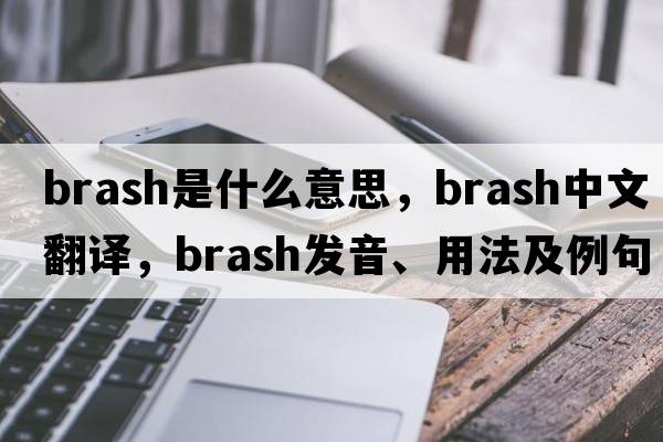 brash是什么意思，brash中文翻譯，brash發(fā)音、用法及例句