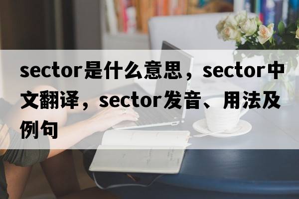 sector是什么意思，sector中文翻譯，sector發(fā)音、用法及例句