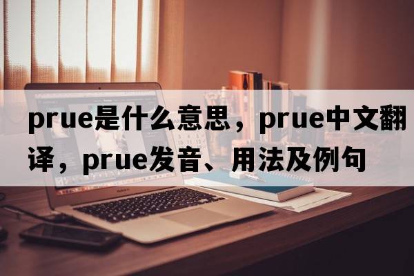 Prue是什么意思，Prue中文翻譯，Prue發(fā)音、用法及例句