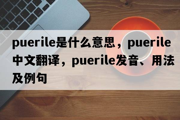 puerile是什么意思，puerile中文翻譯，puerile發(fā)音、用法及例句