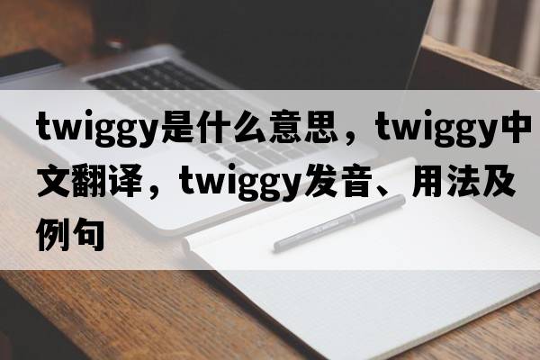 twiggy是什么意思，twiggy中文翻譯，twiggy發(fā)音、用法及例句