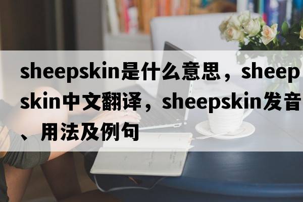 sheepskin是什么意思，sheepskin中文翻譯，sheepskin發(fā)音、用法及例句