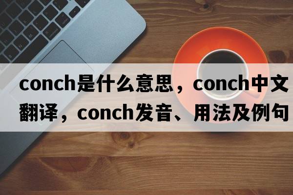 conch是什么意思，conch中文翻譯，conch發(fā)音、用法及例句