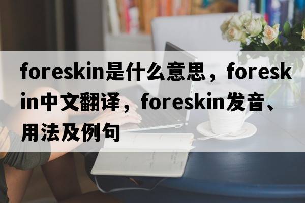 foreskin是什么意思，foreskin中文翻譯，foreskin發(fā)音、用法及例句
