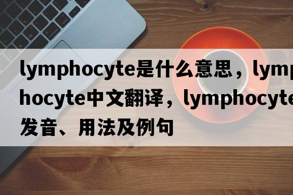 lymphocyte是什么意思，lymphocyte中文翻譯，lymphocyte發(fā)音、用法及例句