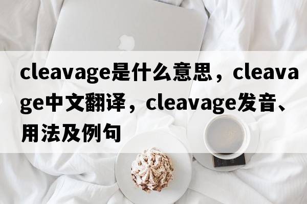 cleavage是什么意思，cleavage中文翻譯，cleavage發(fā)音、用法及例句