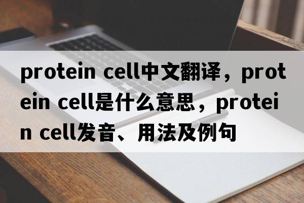 protein cell中文翻譯，protein cell是什么意思，protein cell發(fā)音、用法及例句