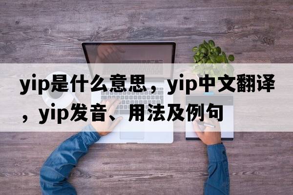 yip是什么意思，yip中文翻譯，yip發(fā)音、用法及例句