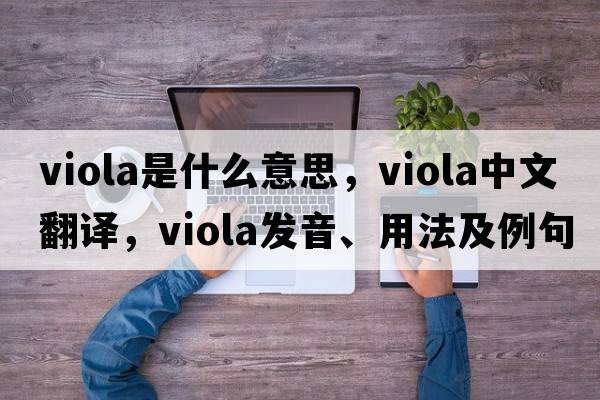viola是什么意思，viola中文翻譯，viola發(fā)音、用法及例句