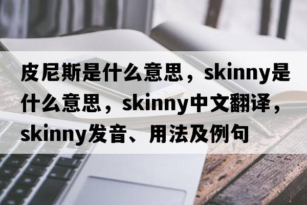 皮尼斯是什么意思，skinny是什么意思，skinny中文翻譯，skinny發(fā)音、用法及例句