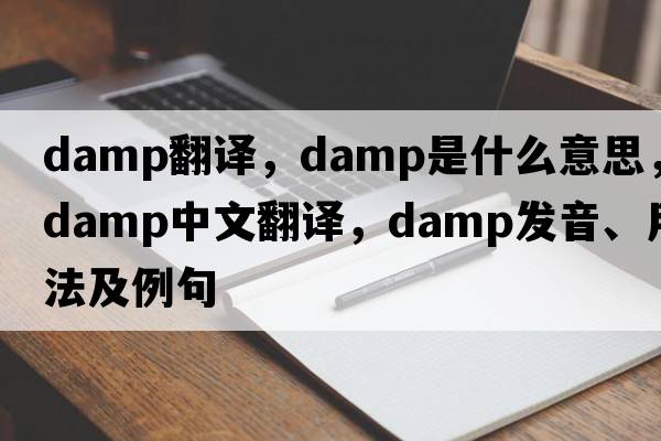damp翻譯，damp是什么意思，damp中文翻譯，damp發(fā)音、用法及例句