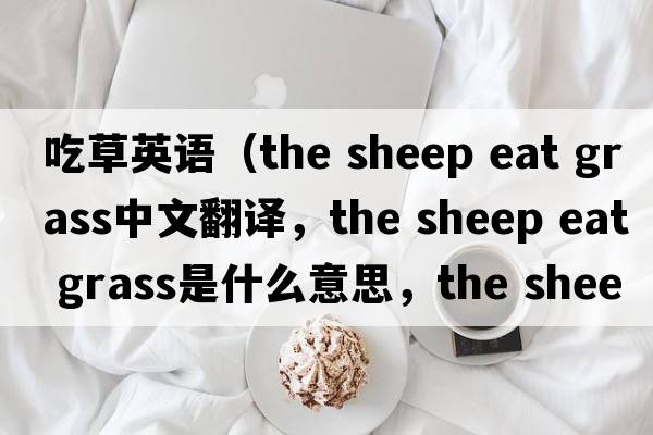 吃草英語（the sheep eat grass中文翻譯，the sheep eat grass是什么意思，the sheep eat grass發(fā)音、用法及例句）