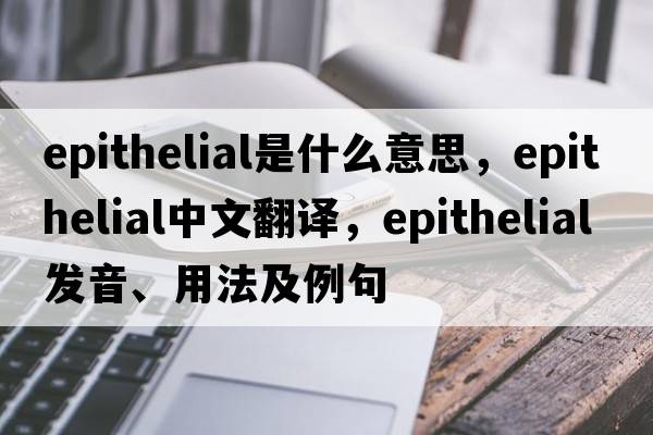 epithelial是什么意思，epithelial中文翻譯，epithelial發(fā)音、用法及例句