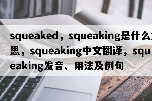 squeaked，squeaking是什么意思，squeaking中文翻譯，squeaking發(fā)音、用法及例句