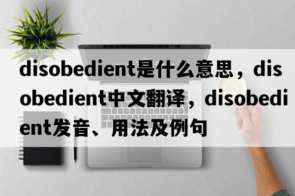 disobedient是什么意思，disobedient中文翻譯，disobedient發(fā)音、用法及例句