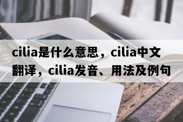 cilia是什么意思，cilia中文翻譯，cilia發(fā)音、用法及例句