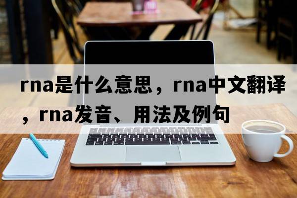 RNA是什么意思，RNA中文翻譯，RNA發(fā)音、用法及例句