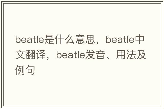 Beatle是什么意思，Beatle中文翻譯，Beatle發(fā)音、用法及例句