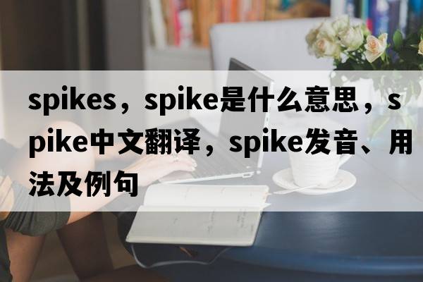 spikes，spike是什么意思，spike中文翻譯，spike發(fā)音、用法及例句