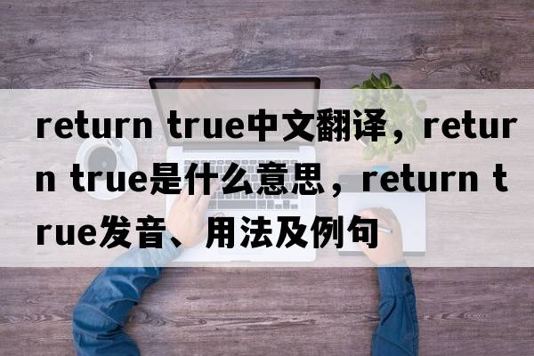 return true中文翻譯，return true是什么意思，return true發(fā)音、用法及例句