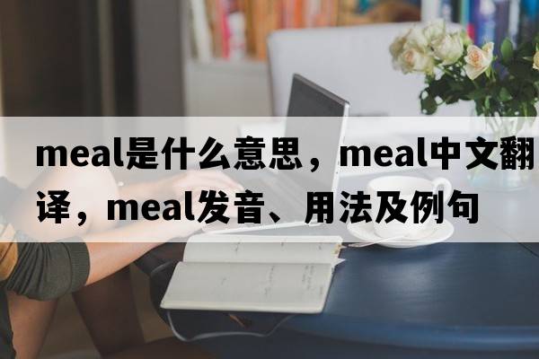 meal是什么意思，meal中文翻譯，meal發(fā)音、用法及例句