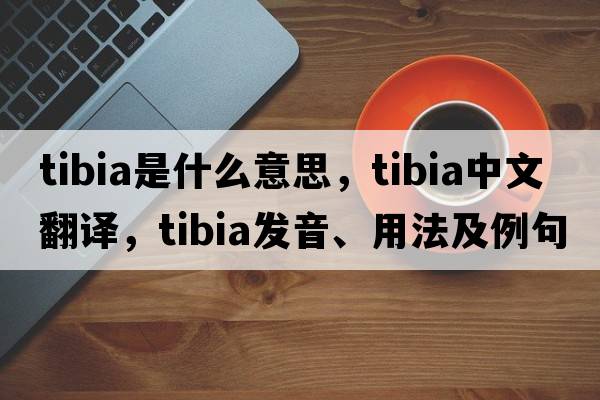 tibia是什么意思，tibia中文翻譯，tibia發(fā)音、用法及例句