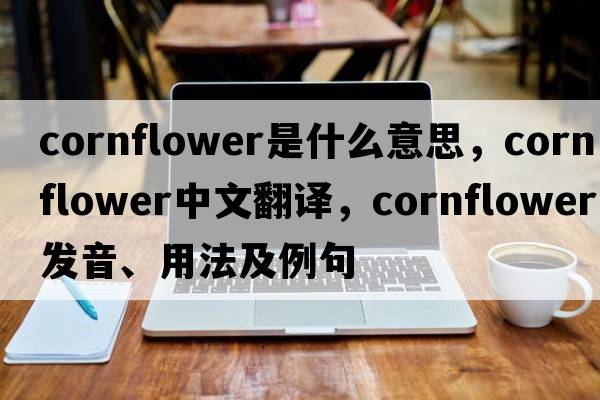 cornflower是什么意思，cornflower中文翻譯，cornflower發(fā)音、用法及例句