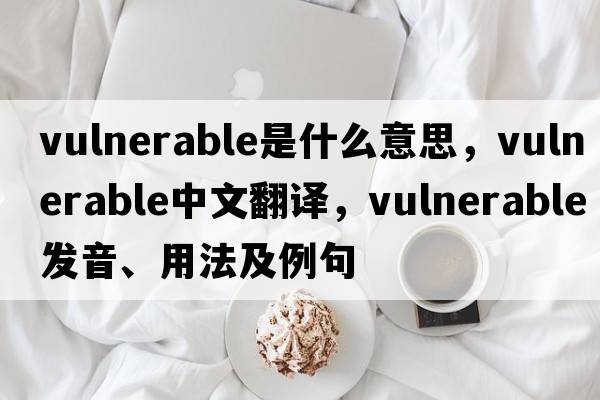 vulnerable是什么意思，vulnerable中文翻譯，vulnerable發(fā)音、用法及例句