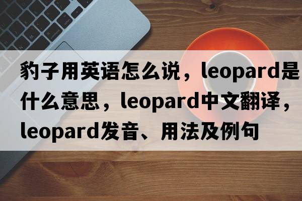 豹子用英語怎么說，leopard是什么意思，leopard中文翻譯，leopard發(fā)音、用法及例句