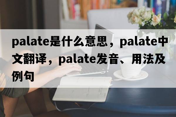 palate是什么意思，palate中文翻譯，palate發(fā)音、用法及例句