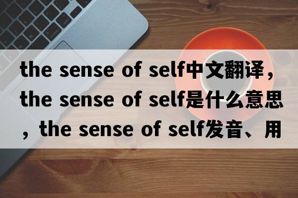 the sense of self中文翻譯，the sense of self是什么意思，the sense of self發(fā)音、用法及例句