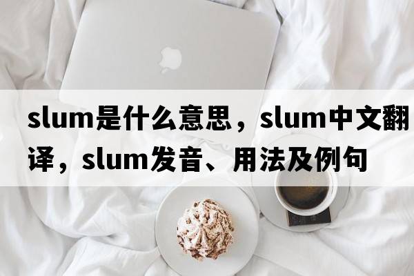 slum是什么意思，slum中文翻譯，slum發(fā)音、用法及例句