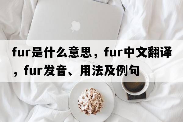 fur是什么意思，fur中文翻譯，fur發(fā)音、用法及例句