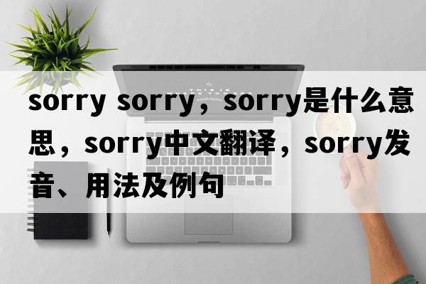 sorry sorry，sorry是什么意思，sorry中文翻譯，sorry發(fā)音、用法及例句