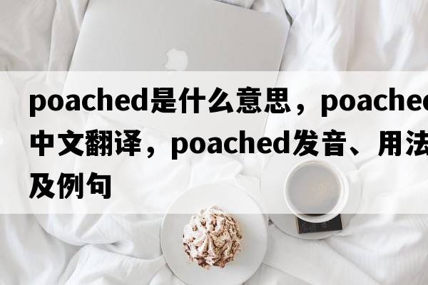 poached是什么意思，poached中文翻譯，poached發(fā)音、用法及例句