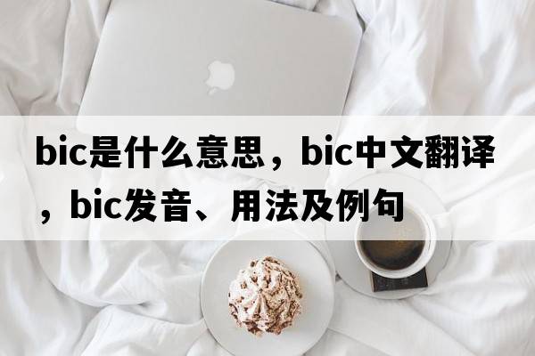 bic是什么意思，bic中文翻譯，bic發(fā)音、用法及例句