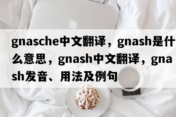 gnasche中文翻譯，gnash是什么意思，gnash中文翻譯，gnash發(fā)音、用法及例句