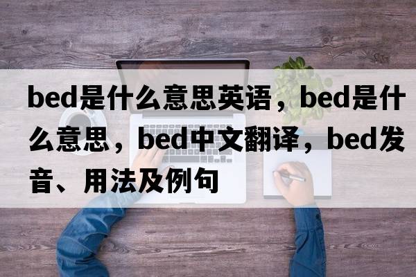 bed是什么意思英語(yǔ)，bed是什么意思，bed中文翻譯，bed發(fā)音、用法及例句