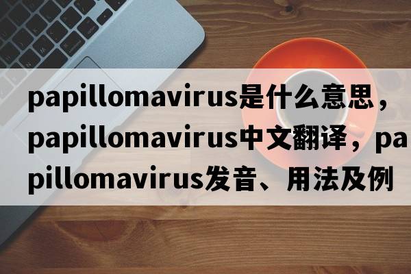 papillomavirus是什么意思，papillomavirus中文翻譯，papillomavirus發(fā)音、用法及例句