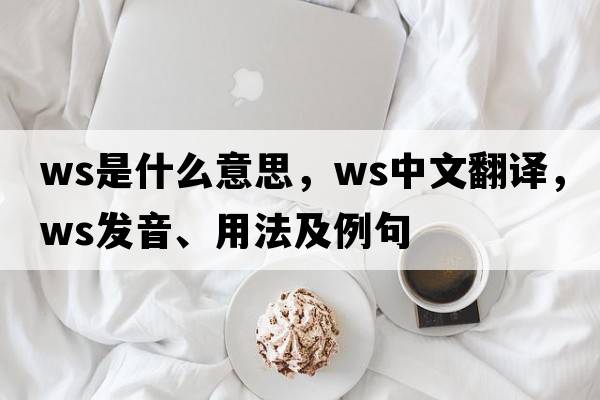 WS是什么意思，WS中文翻譯，WS發(fā)音、用法及例句