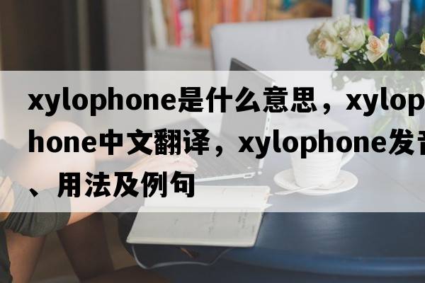 xylophone是什么意思，xylophone中文翻譯，xylophone發(fā)音、用法及例句