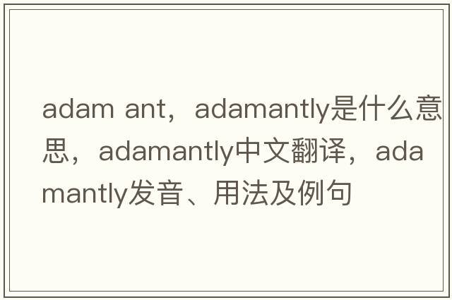 adam ant，adamantly是什么意思，adamantly中文翻譯，adamantly發(fā)音、用法及例句