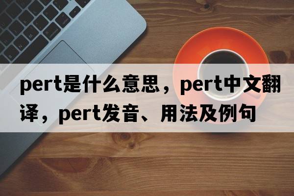 pert是什么意思，pert中文翻譯，pert發(fā)音、用法及例句